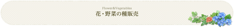 花・野菜の種販売